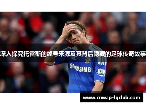 深入探究托雷斯的绰号来源及其背后隐藏的足球传奇故事 深入探究托雷斯的绰号来源及其背后隐藏的足球传奇故事