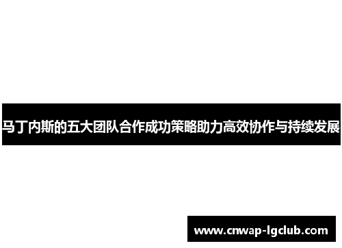 马丁内斯的五大团队合作成功策略助力高效协作与持续发展